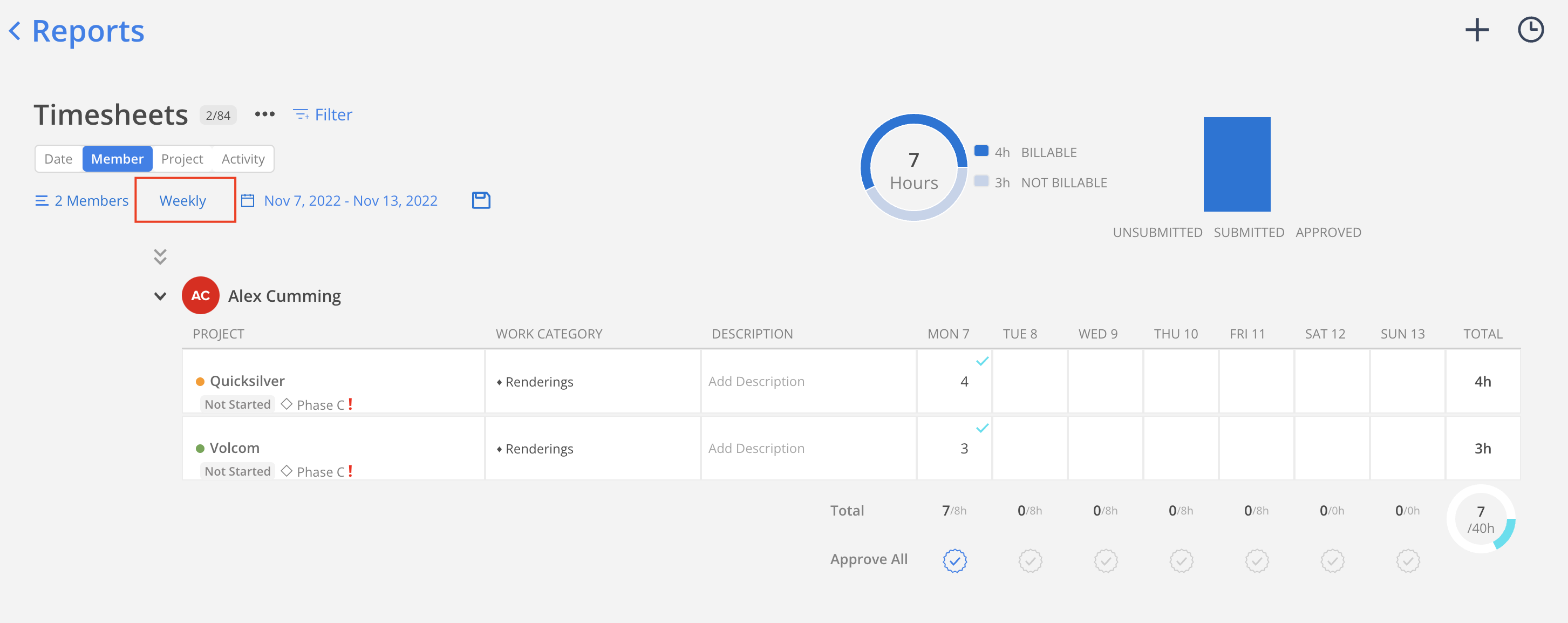 timesheets-report-mosaic